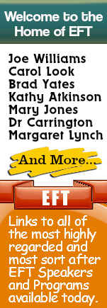 The EFT Coach - Workbook for Beginners